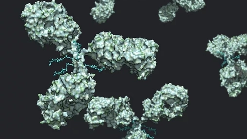 Why ADCs Are Becoming Oncology’s Most Reliable Trend