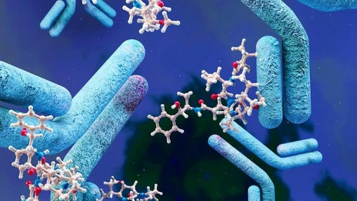 Faster or Failed? ADC Developers Rethink How Drugs Get Built