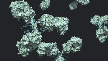 Why ADCs Are Becoming Oncology’s Most Reliable Trend